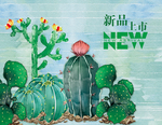 新品上市