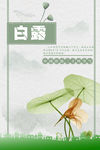 白露荷花