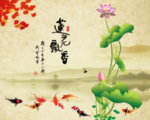 莲花飘香