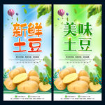 土豆