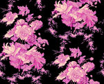 紫色花