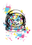 太空猫