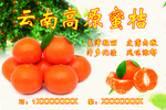 桔子蜜桔