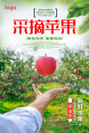 采摘苹果海报 有机苹果海报