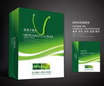 绿色手提袋 手提袋设计 手提袋