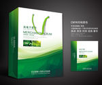 绿色手提袋 手提袋设计 手提袋