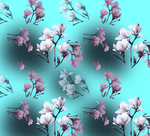 玉兰花
