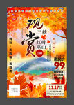 观赏三峡巫山红叶