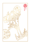 线描玫瑰花插画