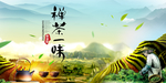 茶地 春茶 茶园 采茶 毛尖