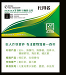 绿色名片