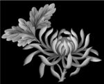 花灰度图