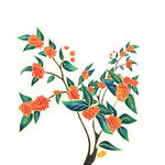 手绘国潮花朵