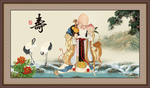 老寿星