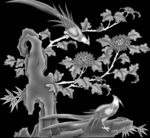 花鸟灰度图