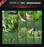 茶海报茶展板