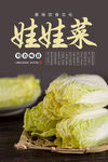 白菜海报 娃娃菜海报