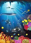 海洋生物