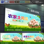 土鸡蛋