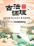 古法养生海报