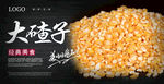 大碴子海报 玉米茬子海报 苞米