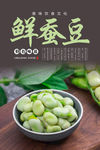 蚕豆海报 新鲜蚕豆海报 青蚕豆