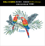 卡通鸟 手绘鸟 百灵鸟