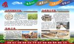 展板 中药材 沙棘 中盛湖羊