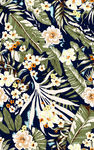 服装花型（分好色文件）图片