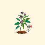 土茯苓