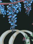 小草花