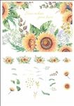 高质量手绘甘菊向日葵剪贴画素材