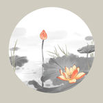 荷花