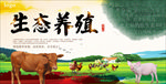 家禽