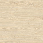 原木 木纹分层 300分辨率