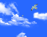 天空