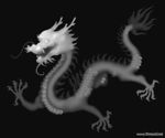 龙灰度图