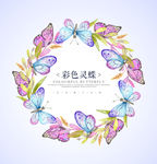 蝴蝶