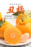 丑橘海报