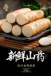 山药海报