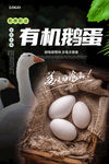 鹅蛋海报