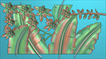 精雕图 芭蕉