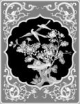 菊花灰度图