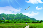 蓝天