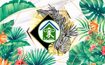 地毯地垫地画