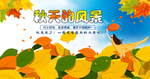 最美丽秋天海报