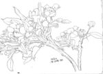 将花卉
