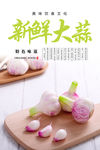 青蒜海报 新鲜大蒜海报