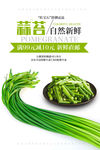 蒜苔海报