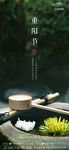 地产 广告 节气